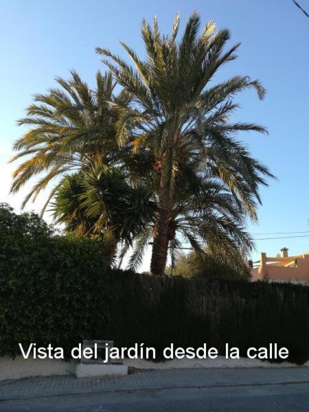 Sun & Palm Trees Apartment Balsares Exterior photo